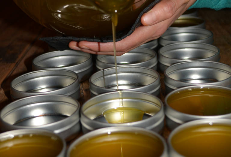 trementina pine-pitch salve new mexico