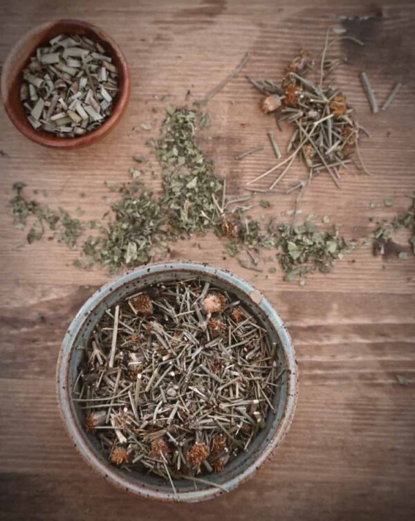 Kidney Tonic Blend - Image 3
