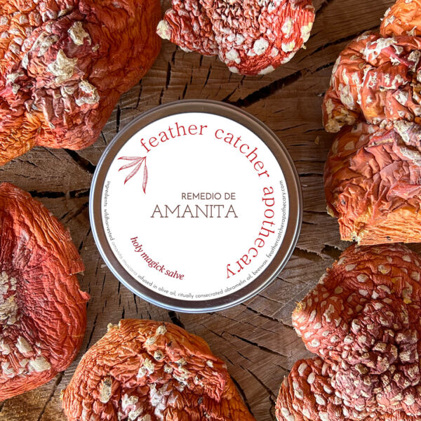 Remedio de Amanita - Holy Magick Salve