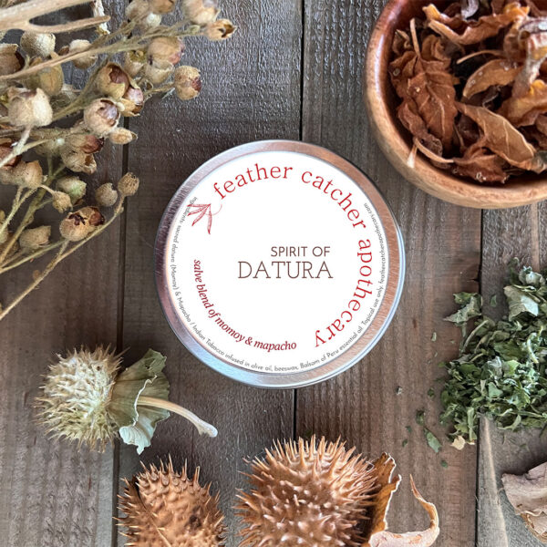 Spirit of Datura