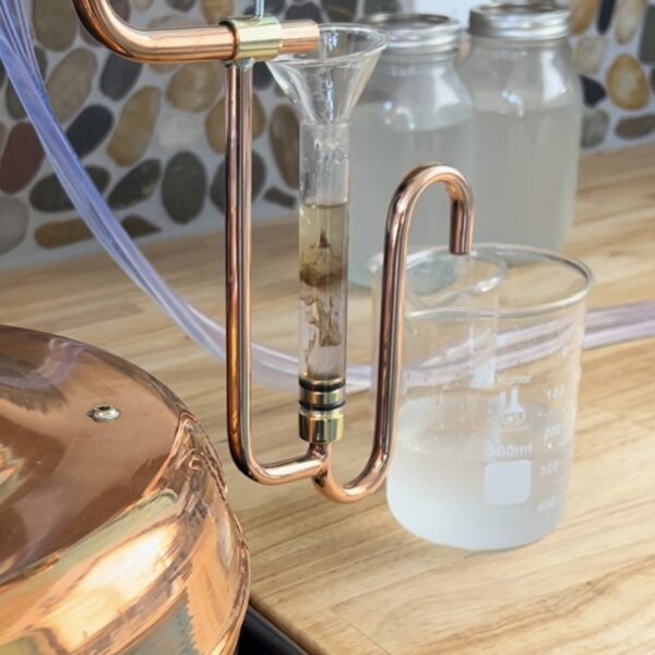 Sagebrush Purifying Spray - Image 3