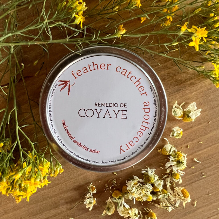 Coyaye – Snakeweed Steam Distillation