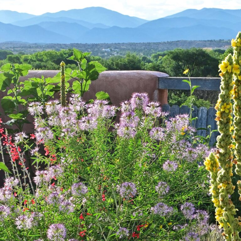 Fostering a Native Landscape