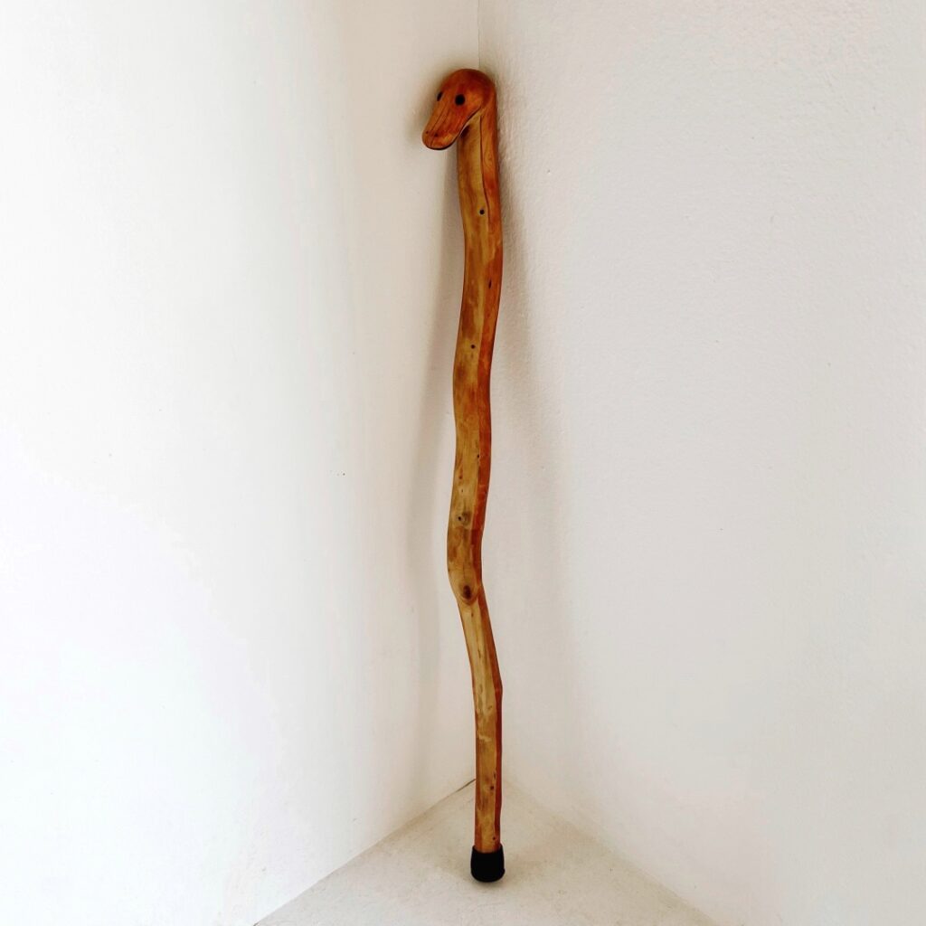 Handmade Snake Cane