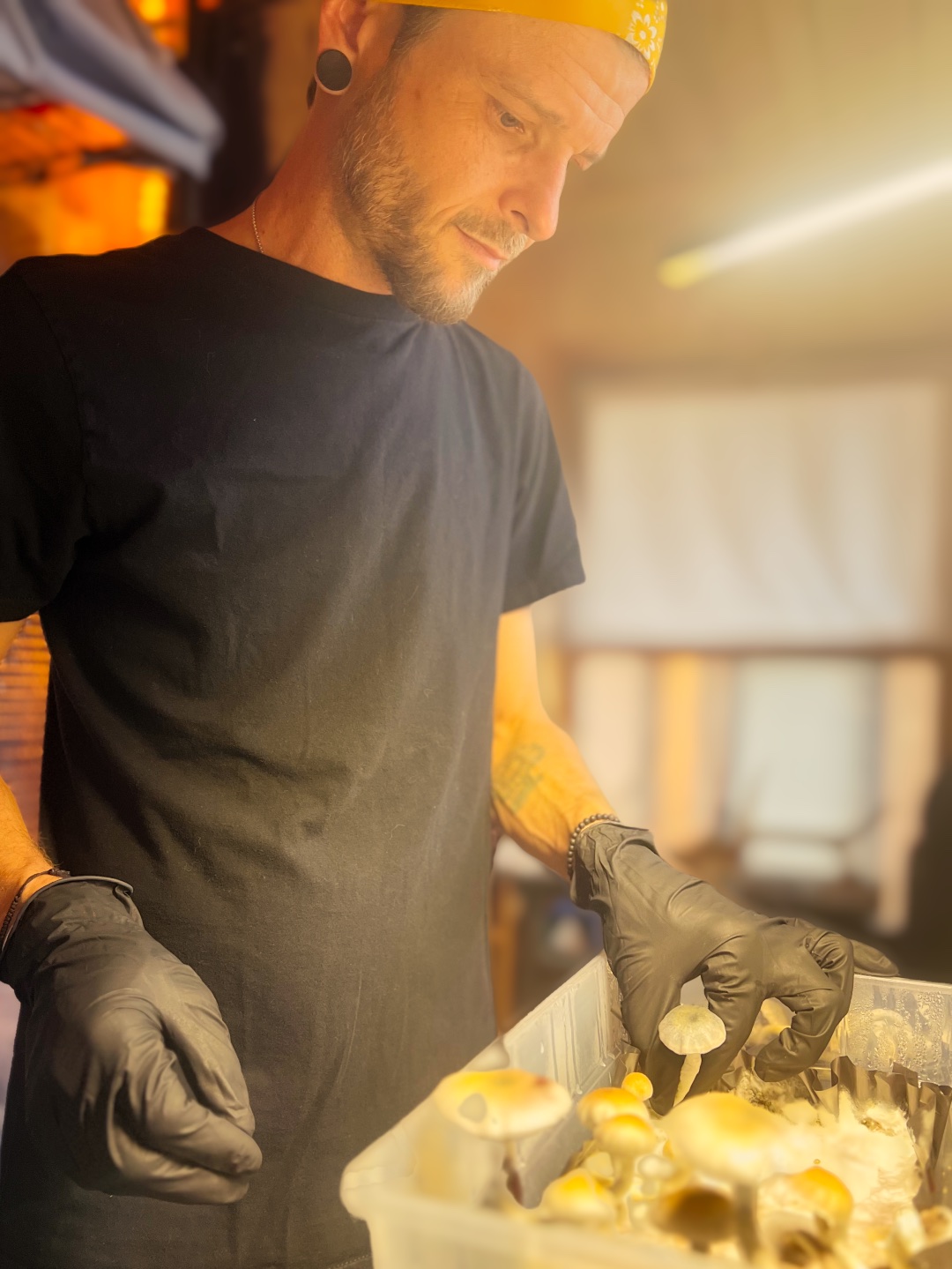 Cory Brown mycologist New Mexico