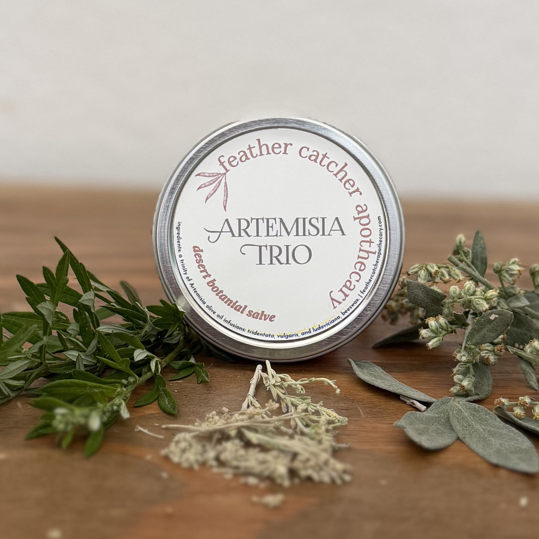 Artemisia Trio